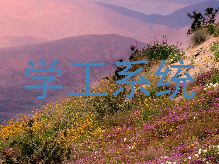 学工系统