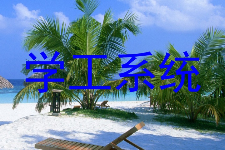 学工系统