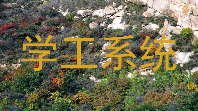 学工系统