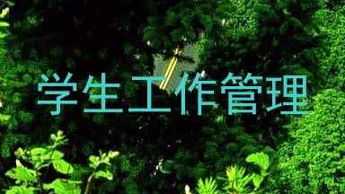 学生工作管理