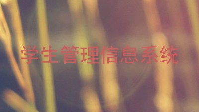 学生管理信息系统