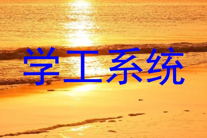 学工系统