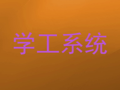 学工系统