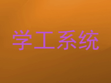 学工系统