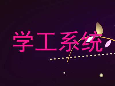 学工系统