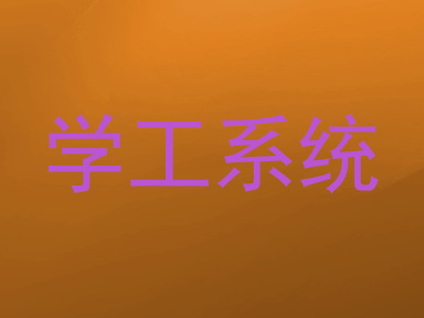 学工系统