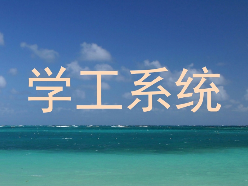 学工系统