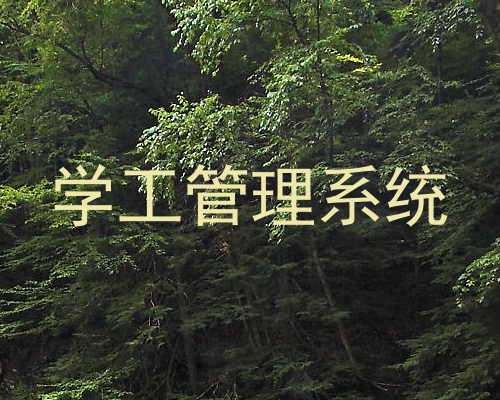 学工管理系统
