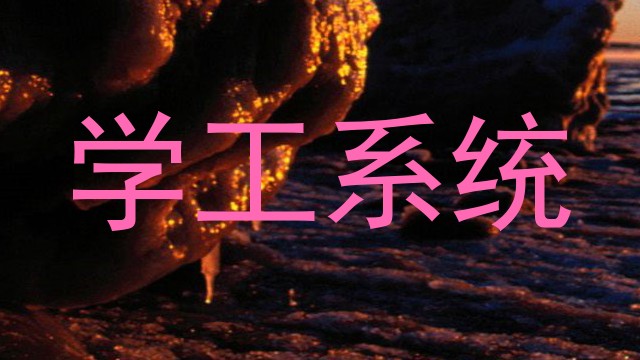 学工系统