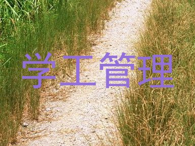 学工管理