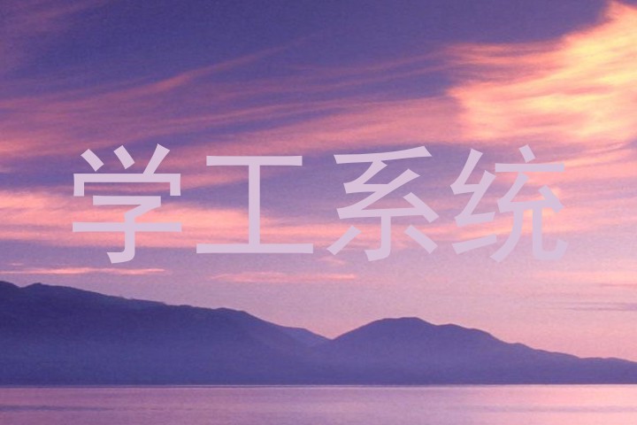 学工系统