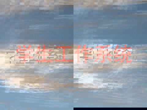 学生工作系统