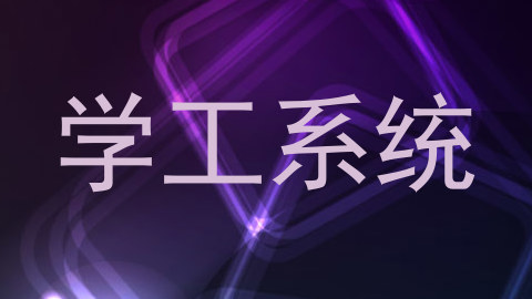 学工系统