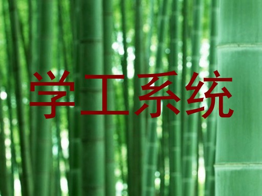 学工系统