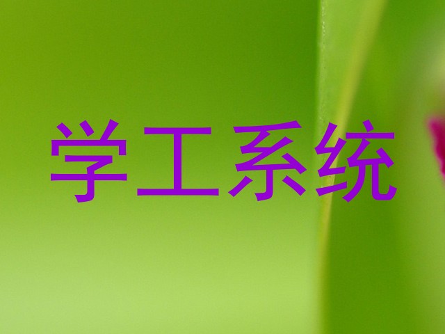 学工系统