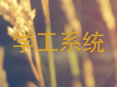 学工系统