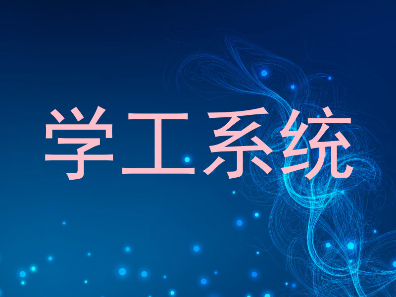 学工系统