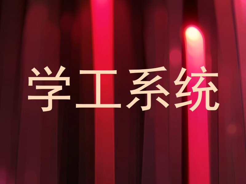 学工系统