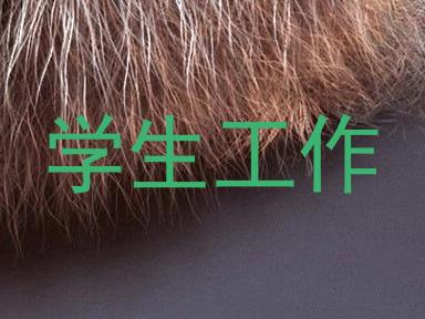 学生工作