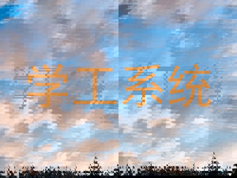 学工系统