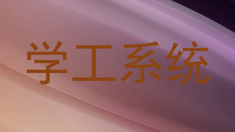 学工系统