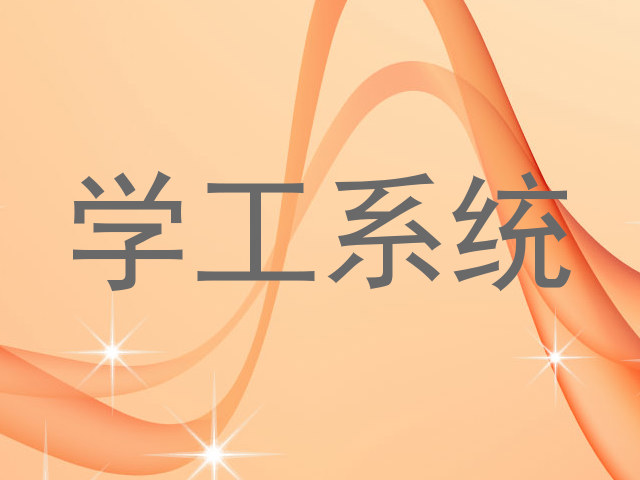 学工系统