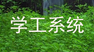 学工系统