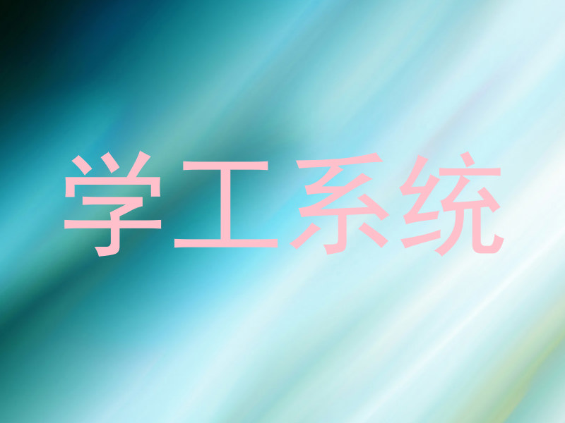 学工系统