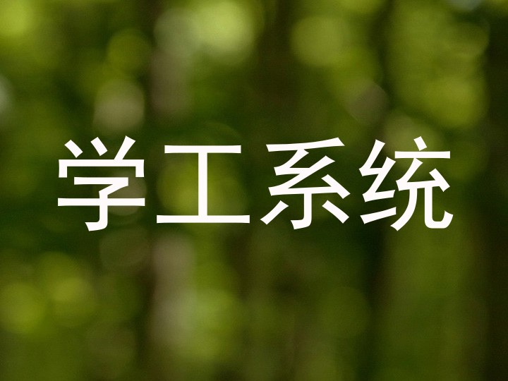 学工系统