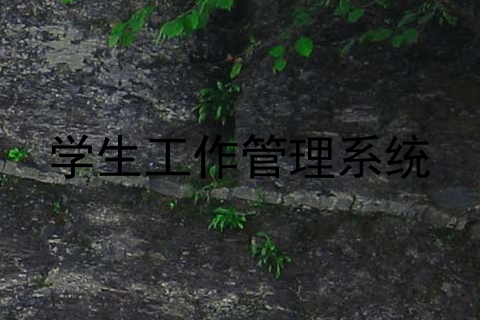 学生工作管理系统