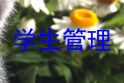 学生管理