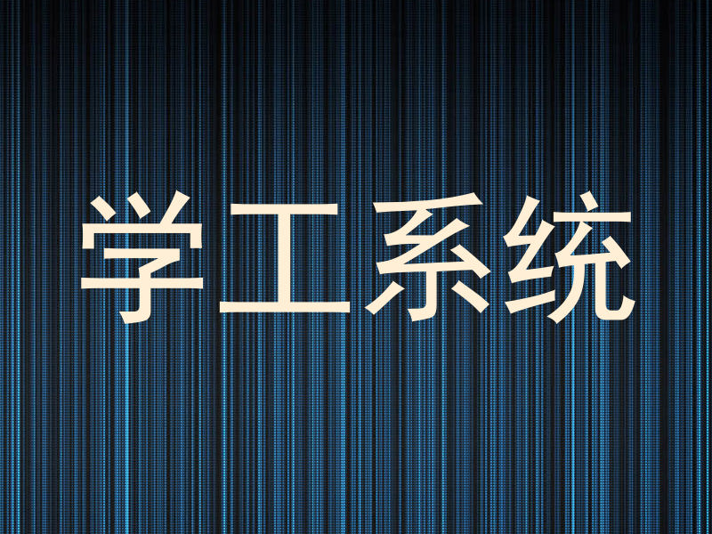 学工系统
