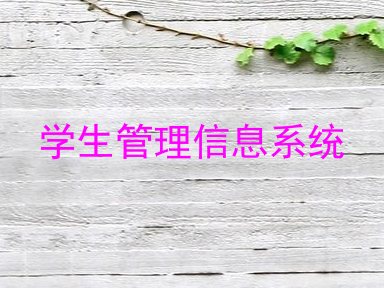 学生管理信息系统
