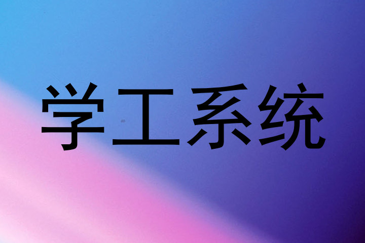 学工系统