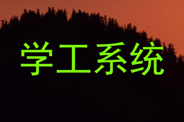 学工系统