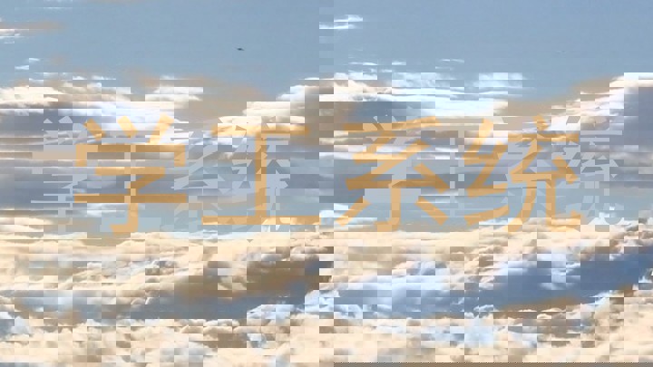 学工系统