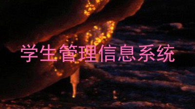 学生管理信息系统