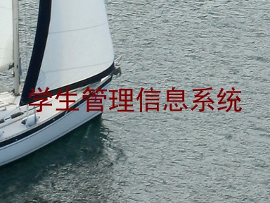 学生管理信息系统