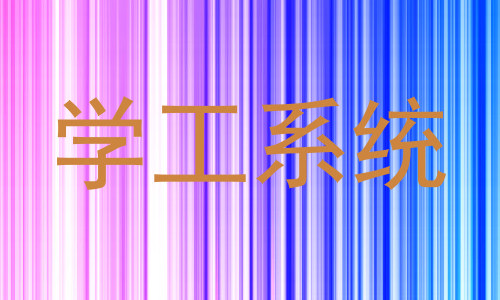 学工系统