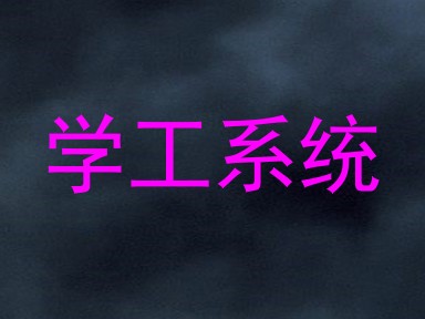 学工系统