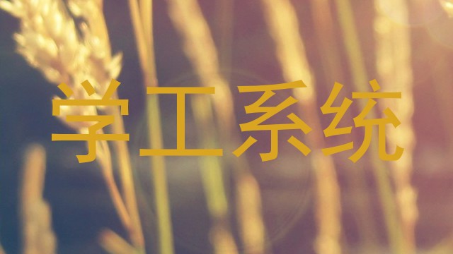 学工系统
