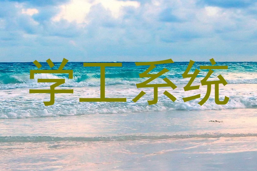 学工系统