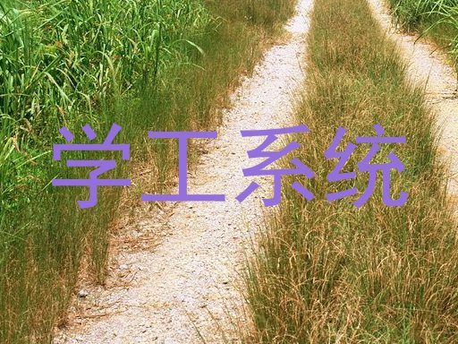 学工系统