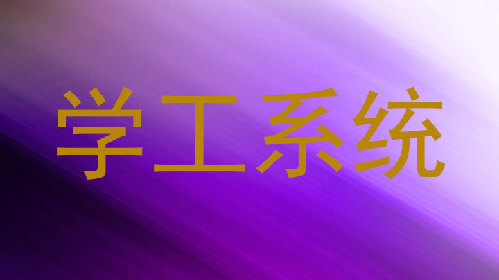 学工系统