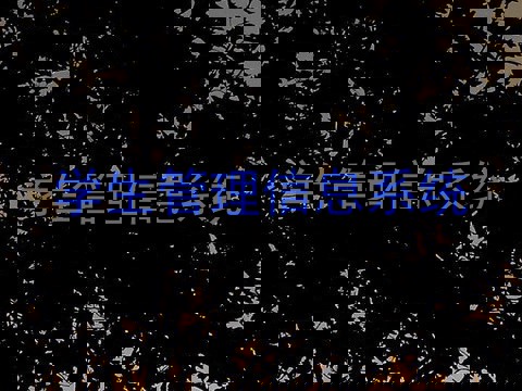 学生管理信息系统