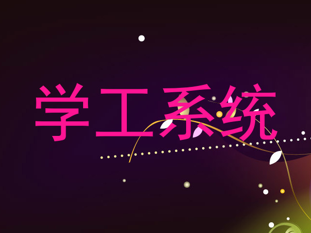 学工系统
