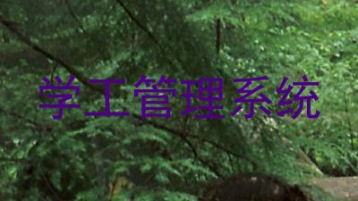 学工管理系统