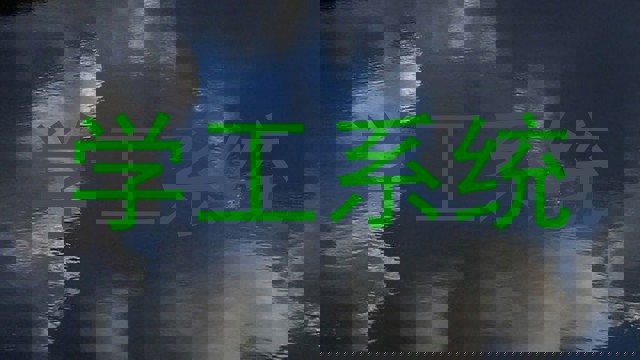 学工系统