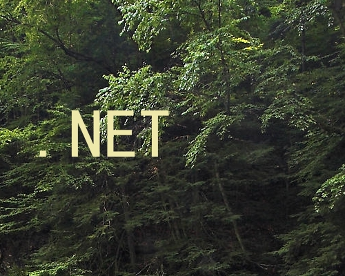 .NET