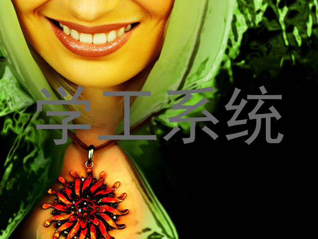 学工系统